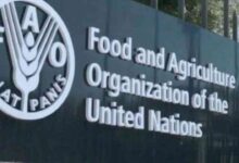 FAO
