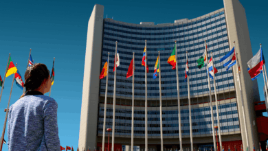 UNIDO Is Hiring A Home Based Consultant| Apply Now