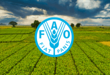 FAO Is Hiring an Office Assistant for 2026 – Full-Time United Nations Career Opportunity