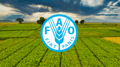 FAO Is Hiring an Office Assistant for 2026 – Full-Time United Nations Career Opportunity