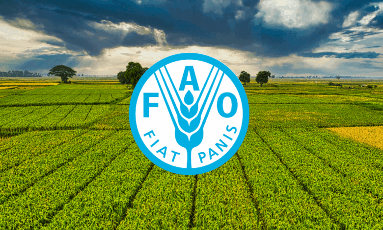 FAO Is Hiring an Office Assistant for 2026 – Full-Time United Nations Career Opportunity