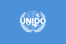 UNIDO Is Hiring Multiple Home-Based Consultancy Jobs From Various Locations For 2026